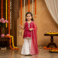 Maroon Jaipuri Mirror Lace Sharara Set